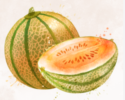 melons